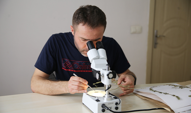 Şanlıurfa'da görev yapan öğretmen buldu: Kum deliçayı ismi verildi