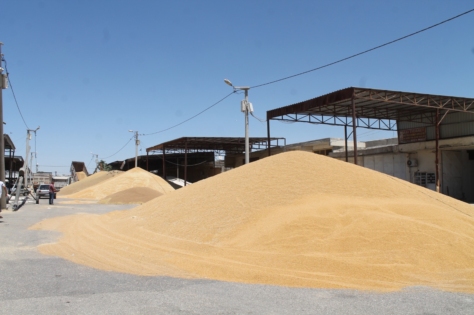 TMO'da randevu krizi: Ürün alımında 'çifte standart' iddiası