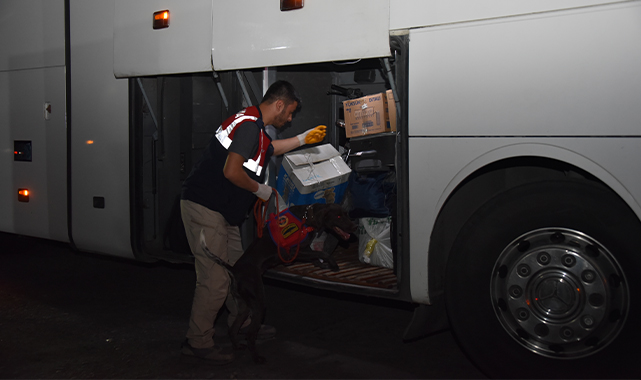 Siverek'teki denetimlerde 50 sürücüye ceza kesildi