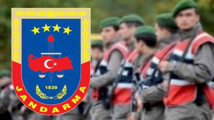 Viranşehir'de Çalınan Koyunları Jandarma Buldu 3 Kişi Yakalandı