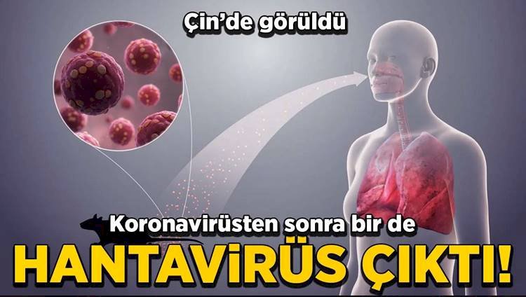 Çin'de Korona'dan Sonra Hantavirüs'ten Bir Kişi Öldü