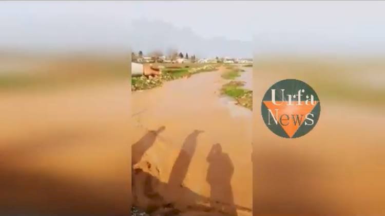 Karaköprü Kırsalında Sel Ekinlere Zarar Verdi Muhtar İsyan Etti