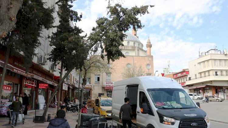 Balıklıgöl Esnafı Caddede Eğilen Ağaca Çözüm İstiyor