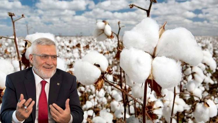 Başkan Yanmaz Uyardı Sakın ha! Çiftçiyi İdam Sehpasına Çıkarırsınız