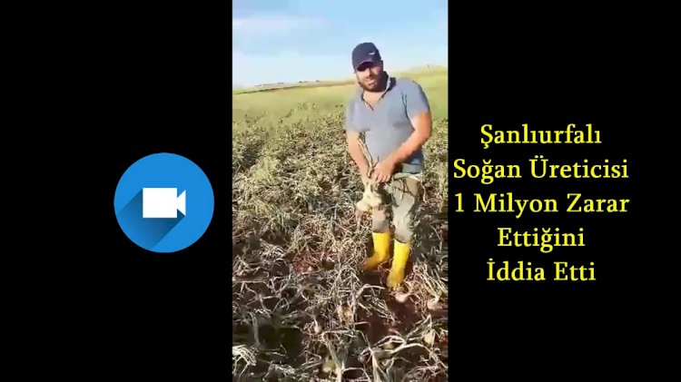 Şanlıurfalı soğan üreticisi Soğanlarımız çöp olmasın halka bedava dağıtın çağrısı