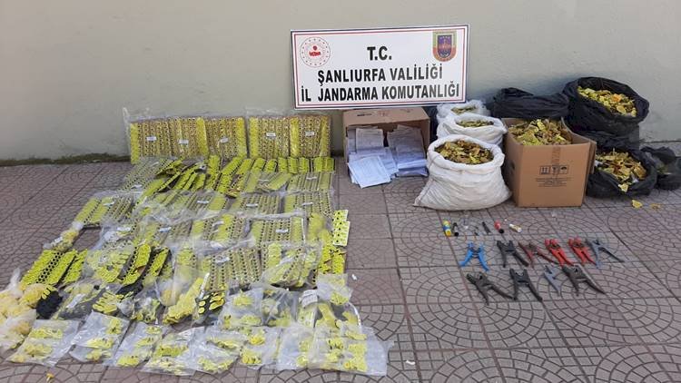 Siverek'te Sahtecilik Operasyonu 14'ü Veteriner 17 Kişi Yakalandı