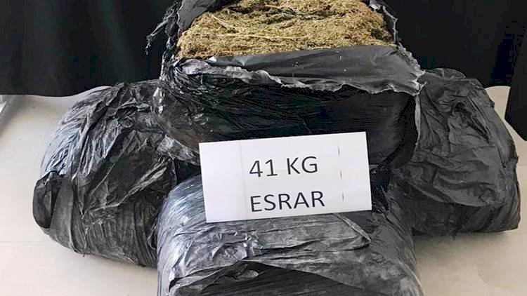 Şanlıurfa'da 41 Kilo Esrar Yakalandı 1 Kişi Tutuklandı