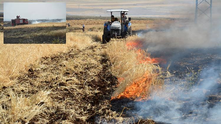 Siverek'te Tarla Yangınında 400 Dönüm Buğday ve Arpa Ekili Tarla Yandı