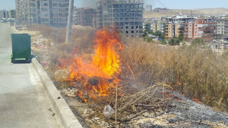 Karaköprü'de Tutuşturulan Yabani Otlar Yangın Çıkardı