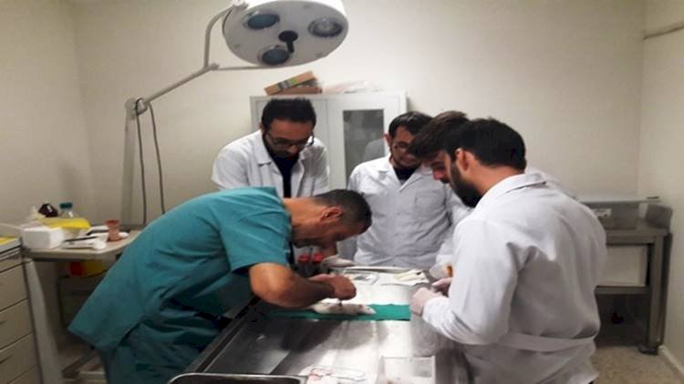 HRÜ Hayvan Deneyi Merkezi Bir yılda 7 Projeyi Bitirdi