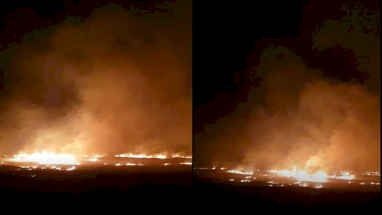 Şanlıurfa'da Uyarılara Aldırış Etmeyen Çiftçiler Anız Yakmaya Devam Ediyor