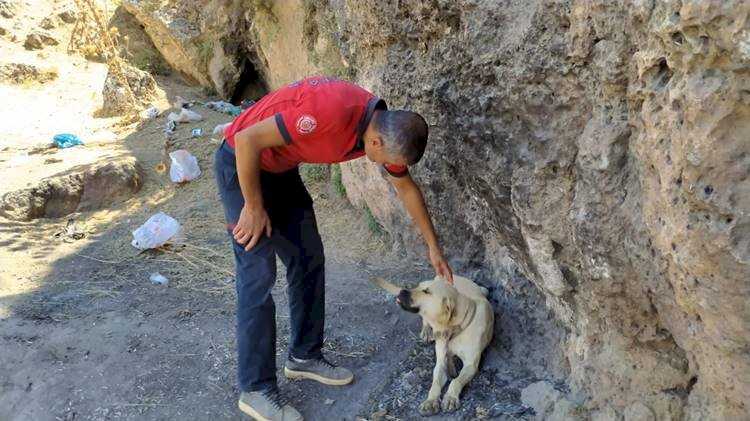 Bozova'da 20 Metrelik Kuyuya Düşen Köpeği İtfaiyeciler Kurtardı