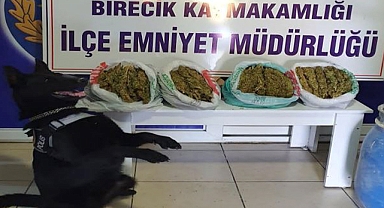Narkotik köpeği bahçeye gömülü uyuşturucuyu buldu