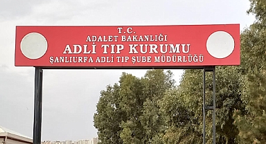 Şanlıurfa'da devrilen traktörün altında kalan sürücü hayatını kaybetti