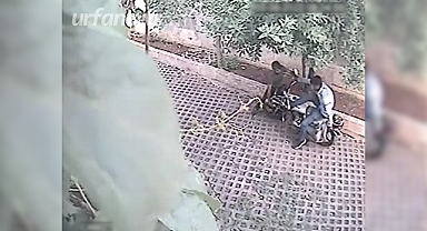 Şanlıurfa'da hırsızlık anı güvenlik kamerasında