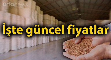 Borsada preseli pamuğun kilosu kaç liradan satıldı?
