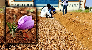 109 yıl sonra yeniden Şanlıurfa'da üretiliyor