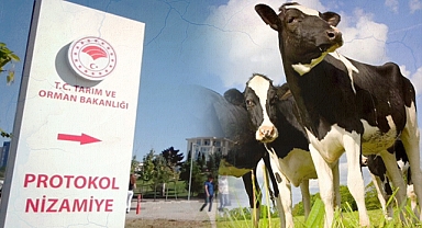 Bakanlıktan Şanlıurfa'daki mera alanında hayvancılığa izin çıkmadı