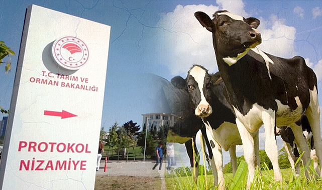 Bakanlıktan Şanlıurfa'daki mera alanında hayvancılığa izin çıkmadı