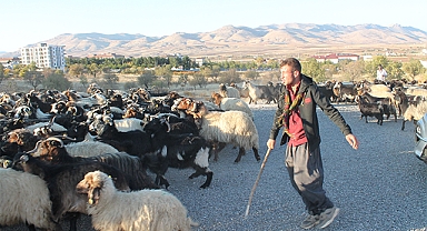Göçerlerin dönüş yolculuğu sürüyor