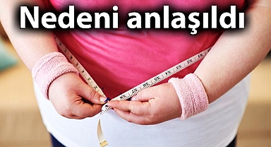 Harran Üniversitesinden tıp dünyası için önemli tespit