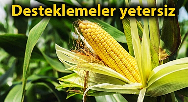 Mısırın maliyeti 5,54 lira olarak hesaplandı