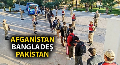 Şanlıurfa'da 24 kaçak göçmen yakalandı