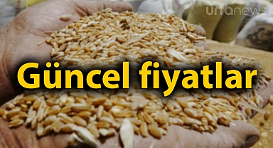 Şanlıurfa'da buğday en yüksek 8,70 liradan işlem gördü