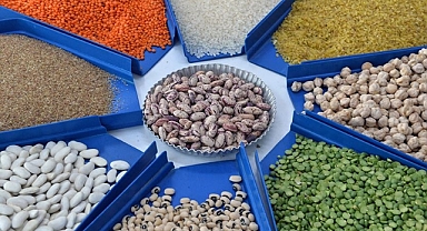 Şanlıurfa'da güncel hububat fiyatları belli oldu