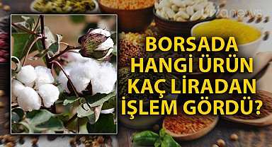 Şanlıurfa'da güncel pamuk ve hububat fiyatları