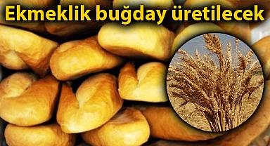 Şanlıurfa'da halk ekmek satışı 35 farklı noktada yapılacak