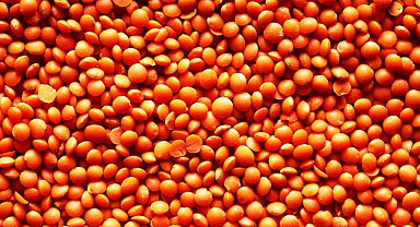 Şanlıurfa'da kırmızı mercimek kaç liradan satıldı?