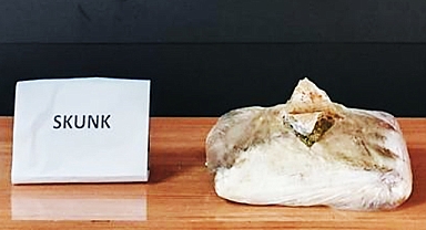 Şanlıurfa'da uyuşturucu operasyonu: 1 gözaltı