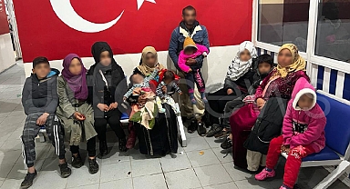 Ceylanpınar'da 12 kaçak göçmen yakalandı