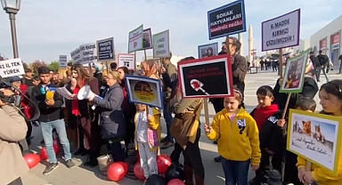 Hayvanseverler belediyelere görevlerini hatırlattı