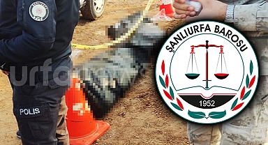 Şanlıurfa'da 9 göçmenin hayatını kaybettiği olaya ilişkin barodan açıklama