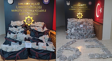 Şanlıurfa'da durdurulan kamyonda skunk ele geçirildi
