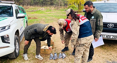 Şanlıurfa'da kaçak avlanan bir kişi hakkında işlem yapıldı