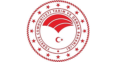 Sözleşmeli orman mühendisi alınacak