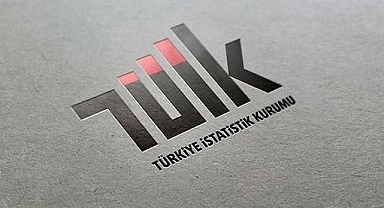 TÜİK, ülke içi göç nedenlerini ilk kez açıklayacak