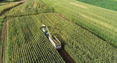 972 milyon liralık tarımsal destek ödemeleri bugün başlıyor