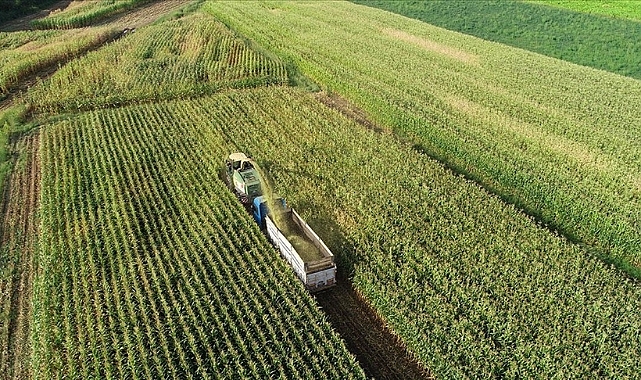 972 milyon liralık tarımsal destek ödemeleri bugün başlıyor