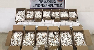 Adana'da 13 milyon 840 bin 500 makaron ele geçirildi