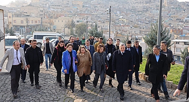 Bakan Yardımcısı Yavuz Şanlıurfa'da inceleme yaptı