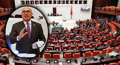 DEDAŞ yine meclis gündeminde