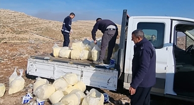Şanlıurfa'da 1 ton 260 kilo küflenmiş tereyağı ele geçirildi