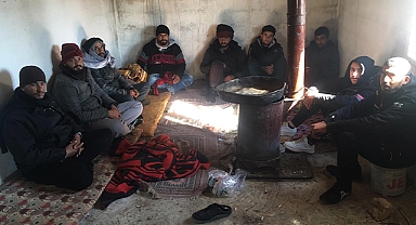 Şanlıurfa'da 83 kaçak göçmen yakalandı