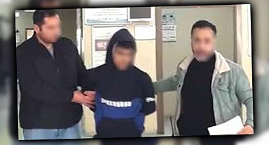 Şanlıurfa'da hırsızlıktan aranan hükümlü operasyonla yakalandı