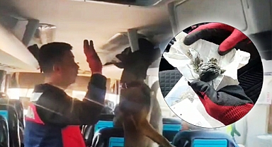 Şanlıurfa'da 'şok' yol uygulaması: 15 gözaltı