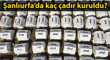 AFAD deprem bölgesinde kurulan çadır sayısını açıkladı